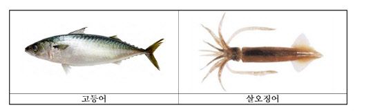 해양수산부 제공